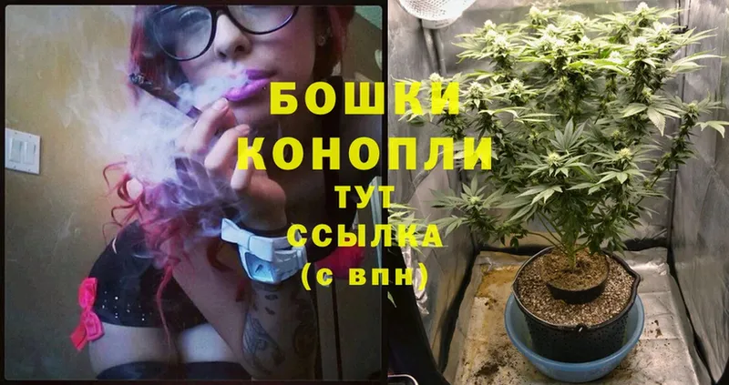 Шишки марихуана SATIVA & INDICA  Луга 